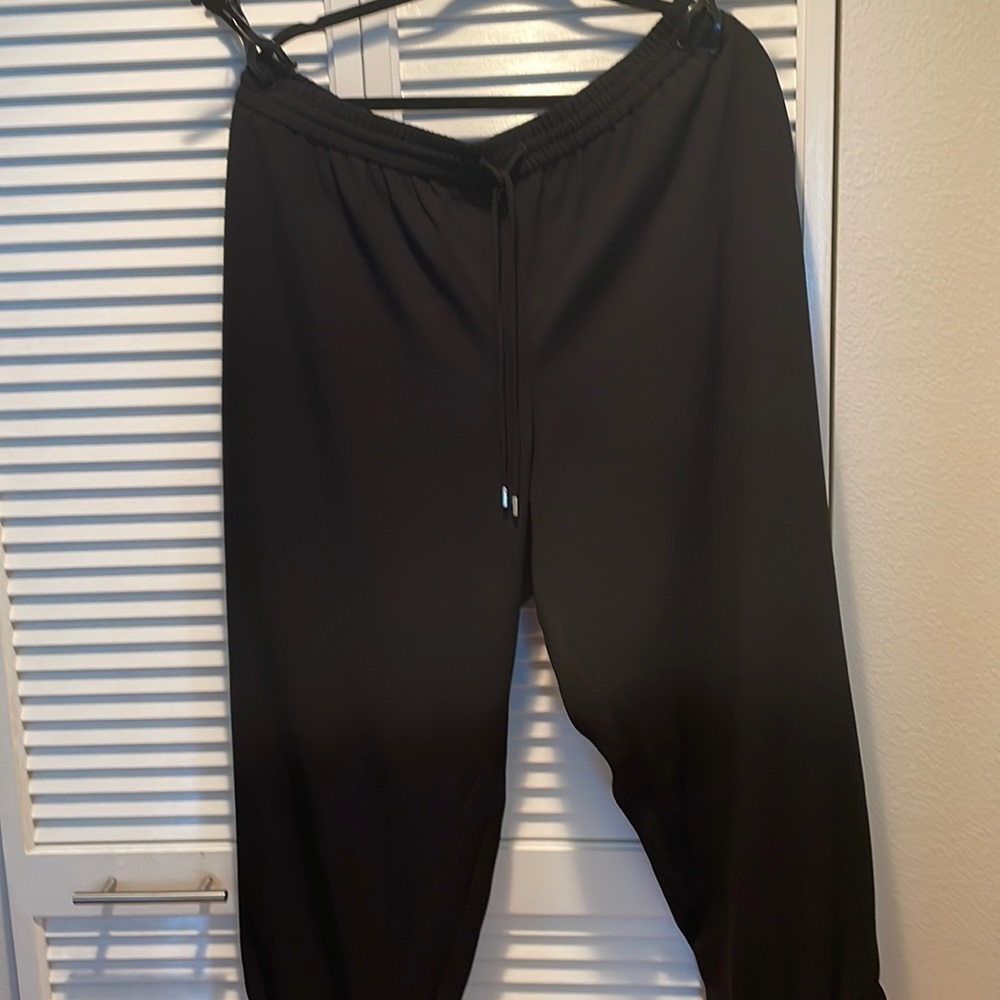 EXPRESS polyester pant.